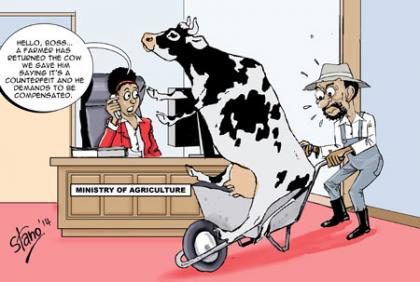 A group of farmers on Friday met with the Minister for Agriculture to demand compensation for controversial exotic Friesian cows imported from the Netherlands-based firm Firma Scha....