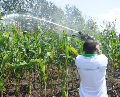 Delegates at the ongoing World Economic Forum for Africa will also discuss ways to increase agriculture productivity. File.