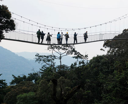 Tourists enjoy a canopy walk Nyungwe Forest. A new visa arrangement will facilitate tourism in the region. File.