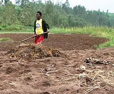 One of the maize farmers (right) prepaper her garden in Takwe wetland. Farners in Muhanga District are reaping big from organised produce selling. The New Times / Seraphine Habimana.