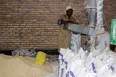 Sabine Sinzamuhara doing what she knows best. The maize boom stirred the entrepreneur in Sinzamuhara and she set up a maize milling plant. The New Times. Seraphine Habimana.