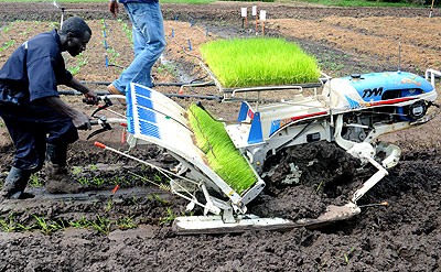 A modern farmer demonstrating how a motorised rice planter works at last years Agricultural Expo.File