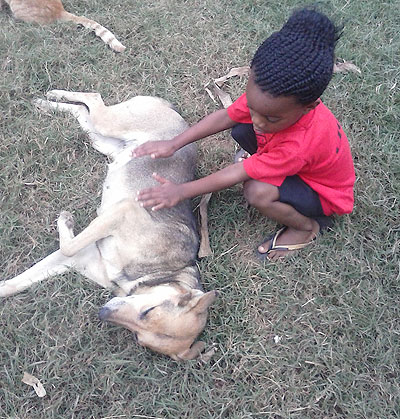 A child plays with a dog. Veterinary doctors say pets should be  vaccinated at least every year. / Solomon Asaba