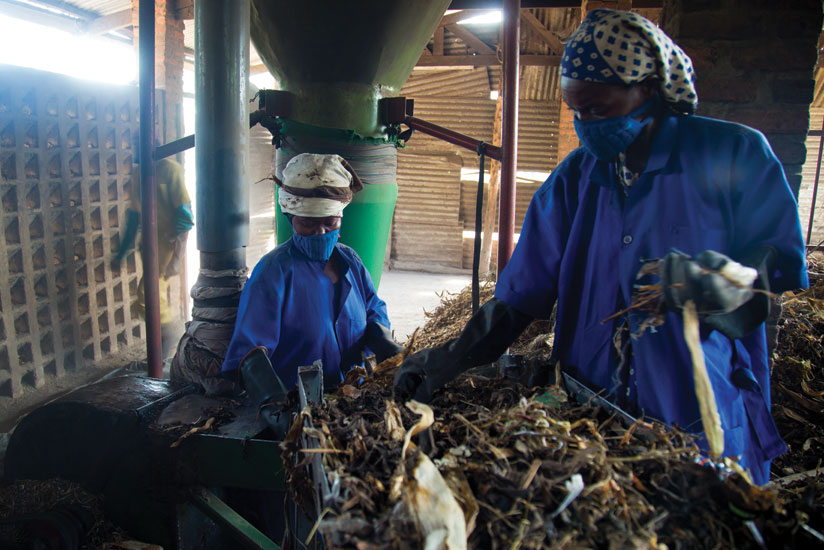 Workers sort dried trash at the processing plant. 