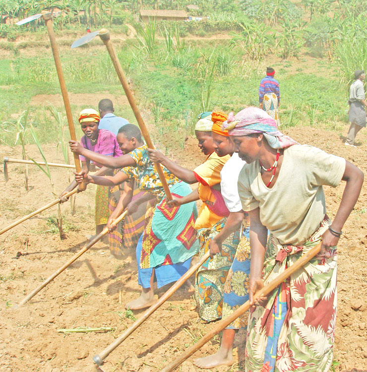 Women till land in Muhanga District. A directive by leaders in Nyabihu District regarding land lease fees on arable land has raised concerns among residents. File. 