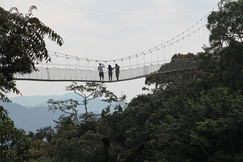 Tourists on a canopy walk in Nyungwe National Park. (File)