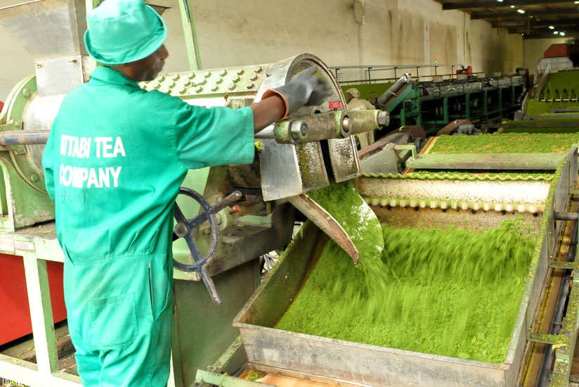 A tea factory worker operates a green tea processing plant. NAEB has outlined a strategy that could see the value of the country's tea exports double in two to three years. (File)