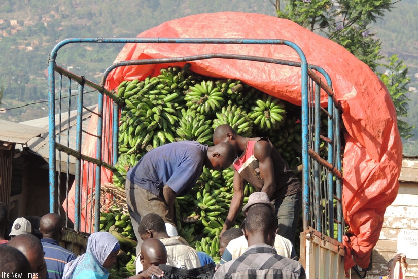 City residents will have to part with more cash to enjoy a dish of mashed or fried banana following prices increases. (Appolonia Uwanziga)