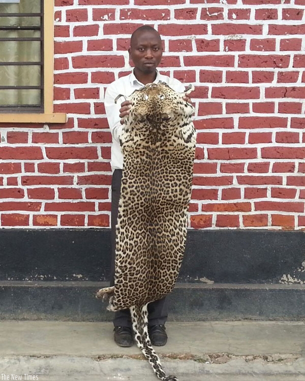 The suspect is paraded with the leopard skin by Police in Nyabihu.