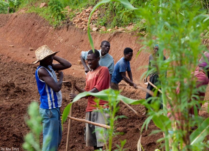 Farmers in Ruryarya Rwamagana District till their land. (File)