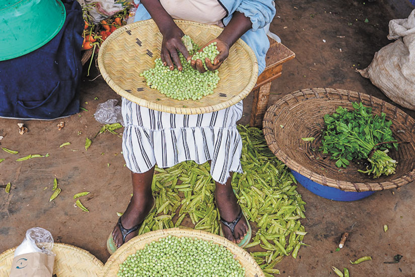 A trader shelling peas. Peas now costs Rwf300 more in Nyamata. 