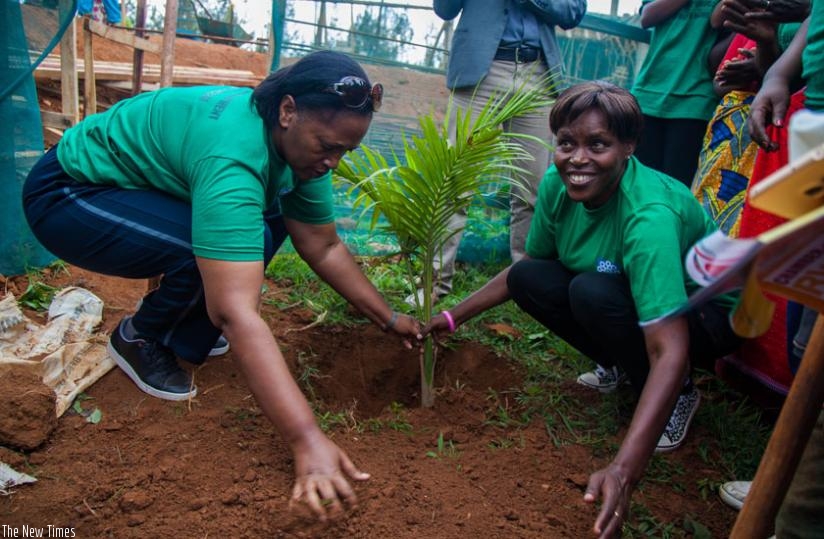 Senate vice president Jeanne D'arc Gakuba and Pro-Femmes Twese Hamwe chairperson Jeanne d'Arc Kanakuze, plant a tree during Umuganda. (Timothy Kisambira)