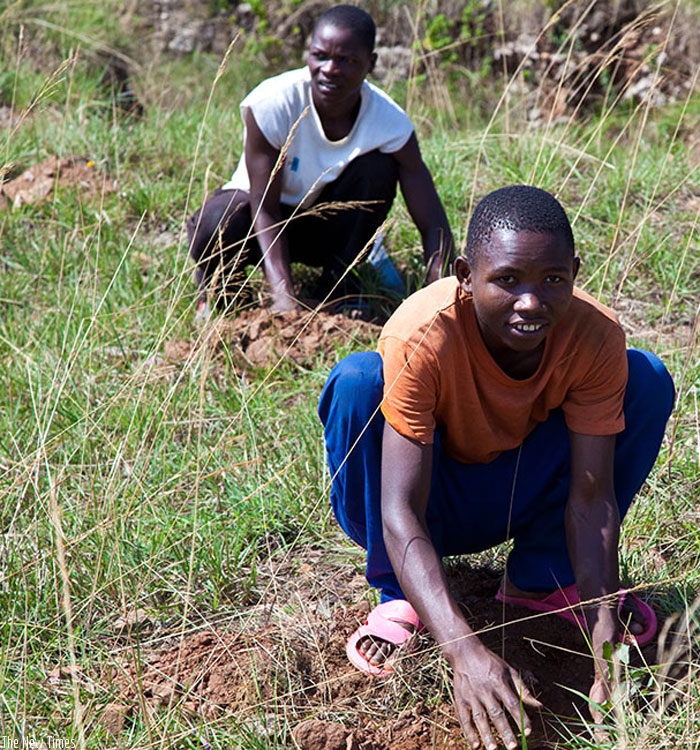 Residents of Rusororo, Gasabo District plant trees during an Umuganda exercise last year. (File)