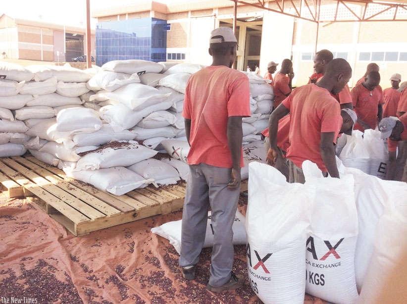 Farmer's newly received cereal being packaged into bagsrn