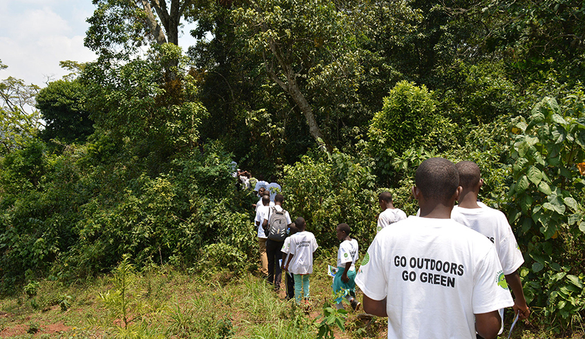 Groupe Scolaire Rwahi students during a tour Busaga natural forest in Muhanga District last year. / Photo: File.