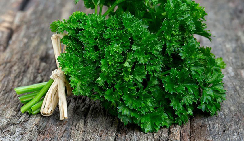 Parsley beans can be found in local markets. Photo/Net