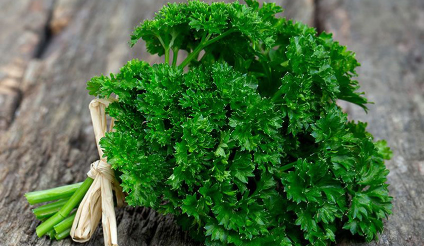 Parsley beans can be found in local markets. Photo/Net